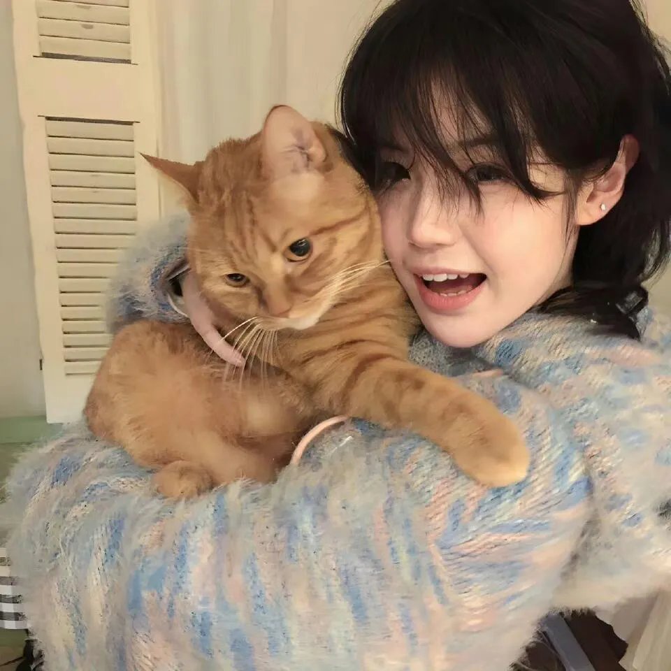 小狐狸维克